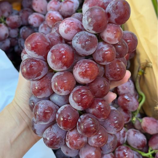 新鲜水果 云南有籽大红提  9.9元/斤  2斤装 （ 称重 多退少补） 商品图1