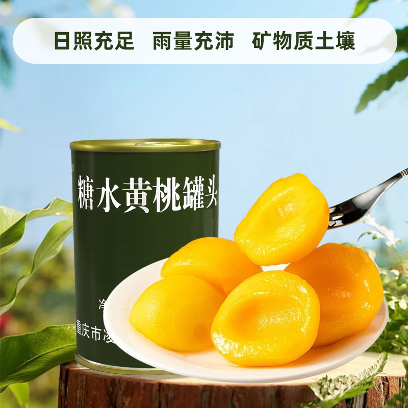【清爽可口 果香扑鼻】桔子黄桃菠萝杨梅枇杷桑葚椰果山楂草莓什锦水果罐头