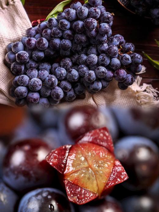 葡萄里的黑珍珠！【夏黑无籽葡萄】颗粒圆润 通体无籽 香甜嫩脆不酸涩 果味浓郁 夏日甜蜜来袭！ 商品图0