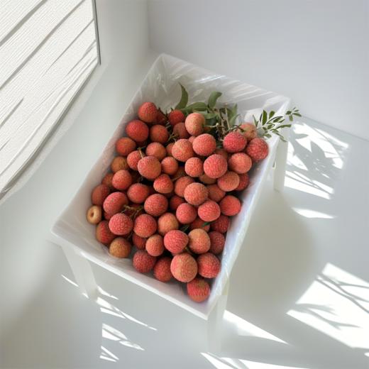 白糖罂荔枝3斤 /5斤，果形饱满，源自高州库区生态果园，色泽鲜亮，果形饱满，遵循自然生长周期, 高效保鲜包装， 空运极速达 商品图0