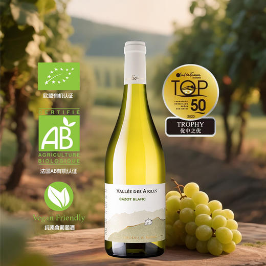 雄鹰岩石小屋干白葡萄酒750ml 商品图0