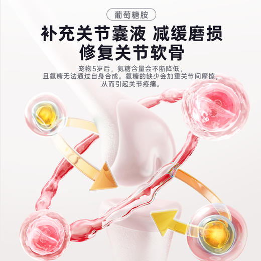 雷米高强力补-14氨糖软骨素片犬猫通用 商品图4
