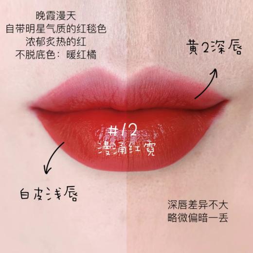 【12.11王炸割肉价】ARMANI/阿玛尼红管磨砂水唇釉12#漫涌红霓红盖小胖丁4ml 商品图3