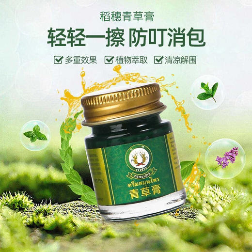 泰国稻穗青草膏15g 商品图0