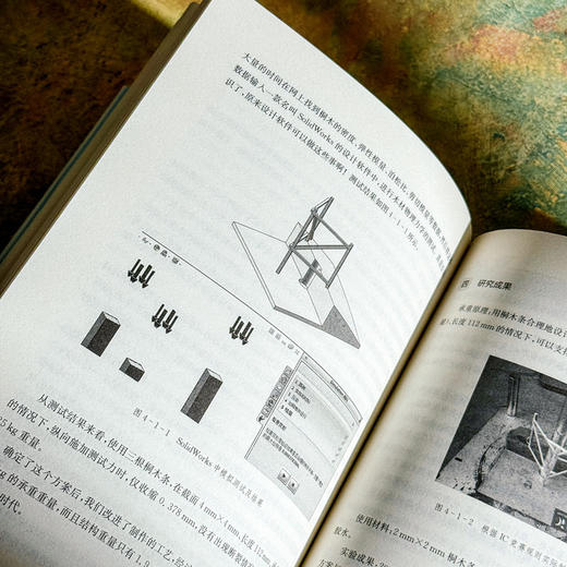 小课题探究 激活学习方式 课程治理现代化丛书 王琦 商品图12