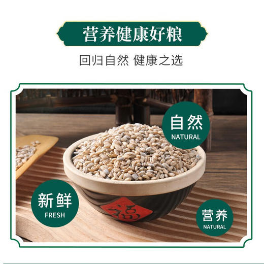 今粮道 青稞米450g【周日不发货】 青稞的β-葡聚糖平均含量为5.25% 商品图1