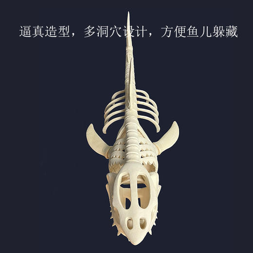 大白鲨造景鲨鱼造景鲨鱼骨骼造景鲨鱼骨架FOT缸造景纯鱼缸造景珊 商品图2