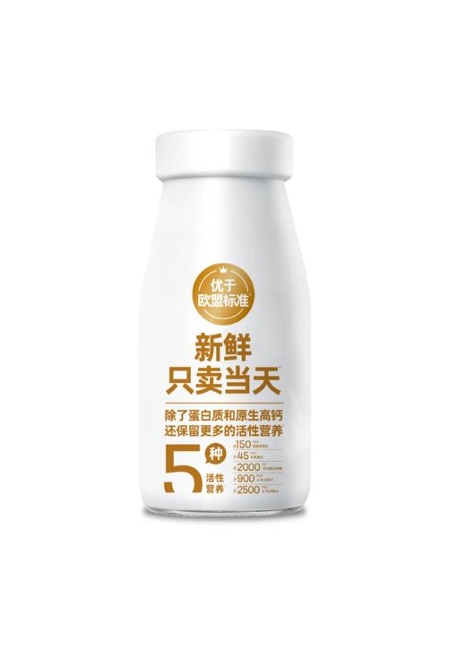 黄金24小时鲜牛乳| 玻璃瓶200g  订奶每日送奶上门 商品图4