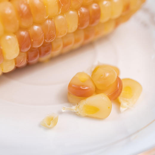 【云南小糯仔西双版纳香糯小玉米】从采摘到加工不超过4小时 真空锁鲜 商品图5