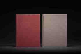 《群星璀璨：苏联版画七十年》+《星光熠熠：苏联版画选》，精装，16开，杨嘉冰编著，西泠印社出版社2025年一版一印，分别定价460、450元。售价请点开链接。