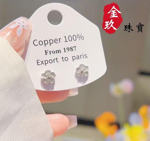 S925银耳饰 商品图0