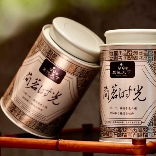 【简茗时光】2024年白牡丹 商品图3