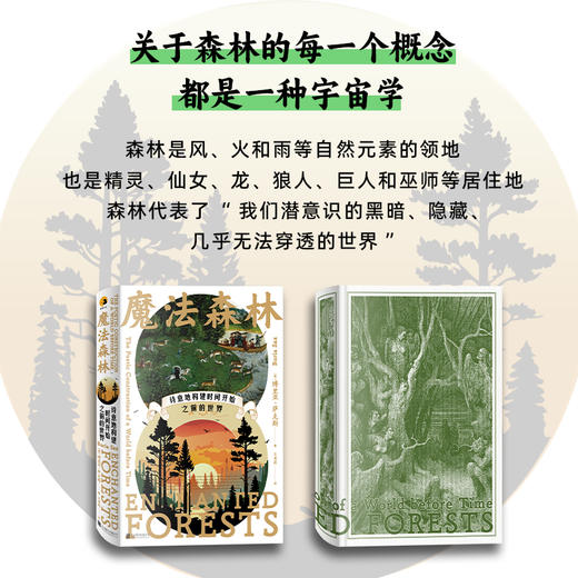 魔法森林：诗意地构建时间开始之前的世界 商品图1