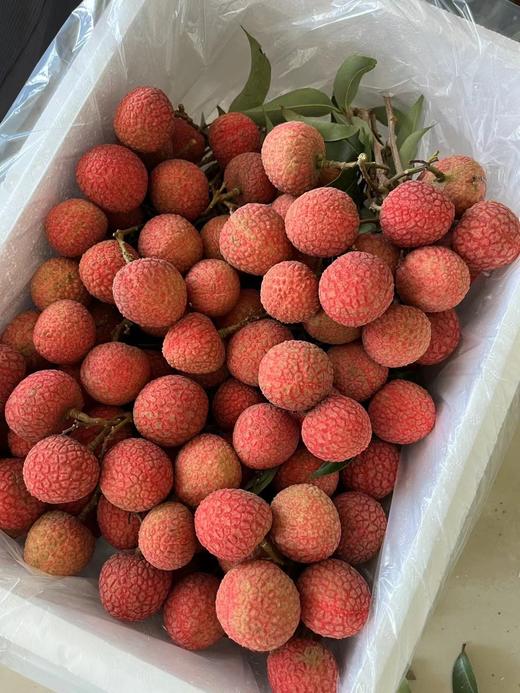 广东岭南桂味荔枝（五斤装）原产地直发，清甜带桂花香：甜度极高，质地紧实、爽脆，咀嚼时咯吱作响 商品图4