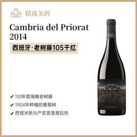 西班牙2014老树藤105干红