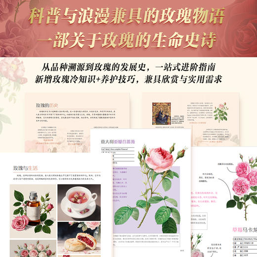 玫瑰全书 礼盒典藏纪念版 限量编码 特装刷边 商品图4