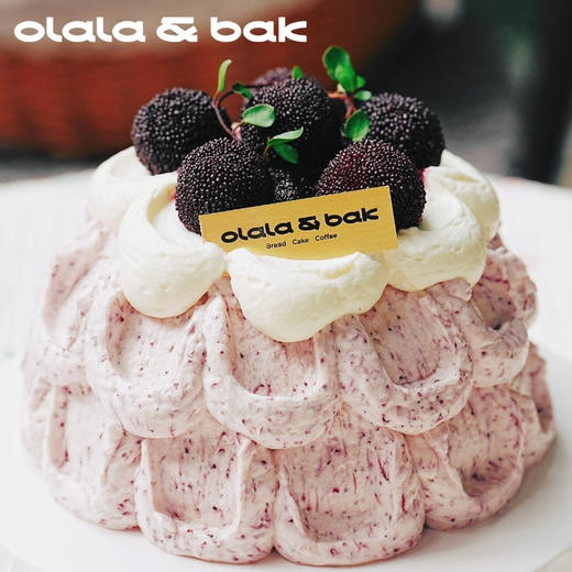 杨梅雪山蛋糕 商品图0