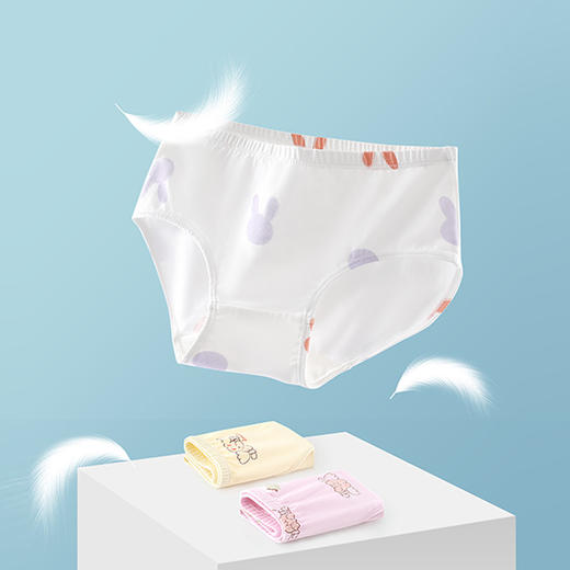 女童内裤2件装棉中大童三角内裤无骨女孩内裤批发代发 商品图0