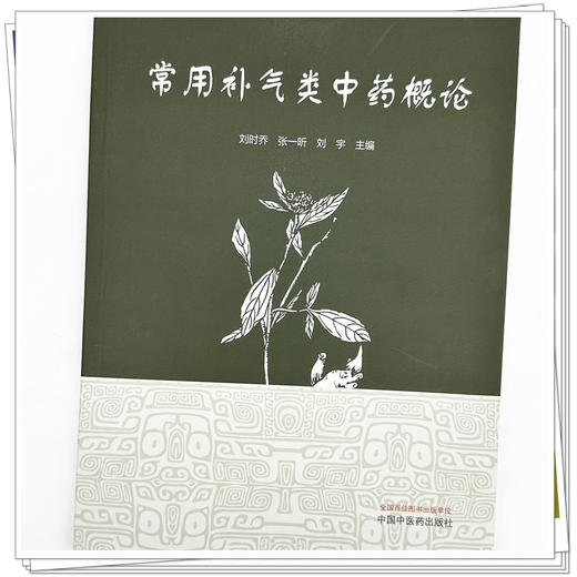 常用补气类中药概论 刘时乔 张一昕 刘宇 主编 中国中医药出版社 商品图3