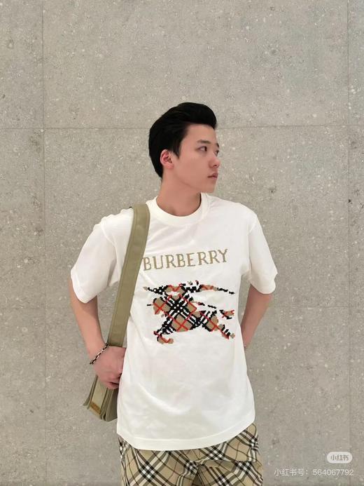 B家 十字刺绣大战马 圆领短袖T恤 Z-15420 商品图3