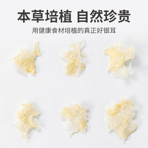 方家铺子 有机本草银耳40克*5瓶装 商品图9
