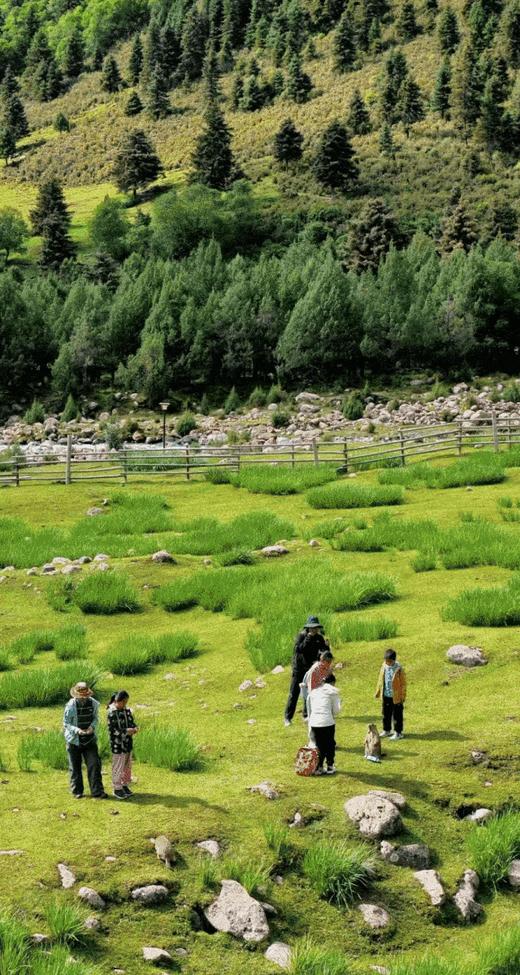 【夏令营】北京往返:云横秦岭-科考自然博物营，追寻四大国宝熊猫朱鹮羚牛金丝猴的足迹|亲子，单飞 商品图3