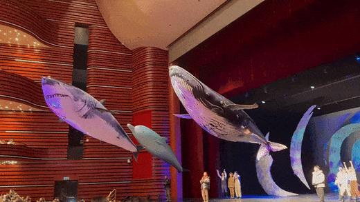 4.11正版重磅回归：教育部中小学阅读指导必看~抢发早鸟优惠【四川大剧院】沉浸式海洋科学与幻想之旅舞台剧《海底两万里》 商品图6