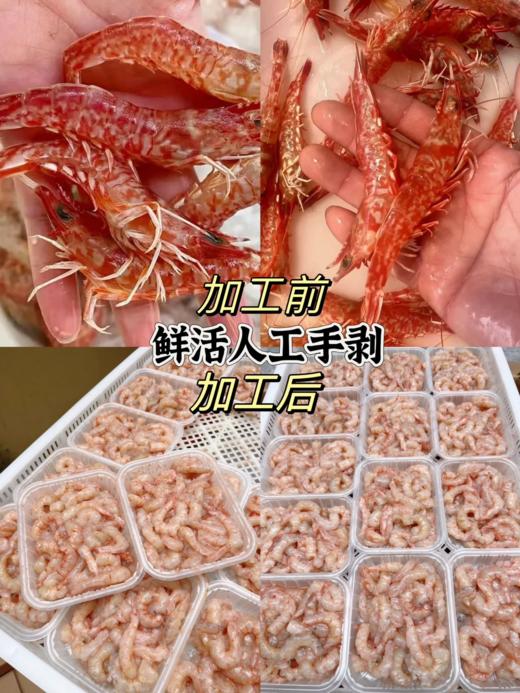 & 手工现剥樱花虾仁，零添加剂❌营养高，非常鲜甜[哇]活冻 商品图0