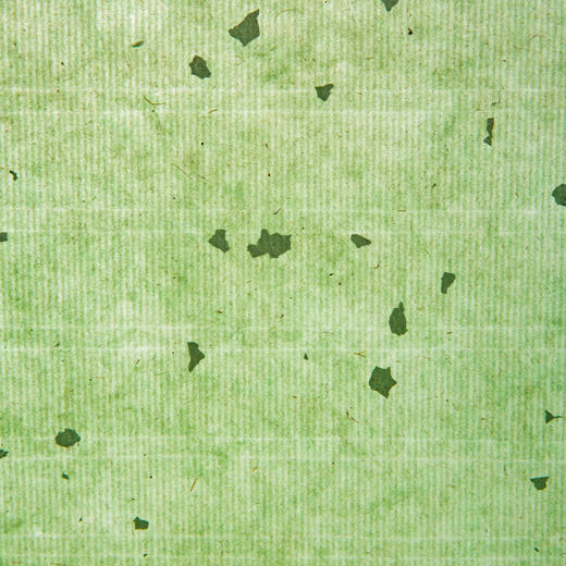 70-80年代西武荣宝斋雨雪冷金笺(单张销售，鲜绿色) 商品图13