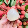 【风味浓郁！香甜可口】海南妃子笑荔枝5斤新鲜水果当季现摘爆甜桂花荔枝香老树大果整箱。ry 商品缩略图3