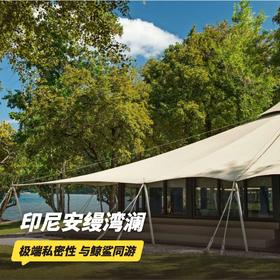 3晚/5晚【印尼安缦湾澜 | Amanwana | 实时代订】最长可用至26年3月！3晚潜水/住5付4套餐可选，享每日三餐、专车快艇往返接送、度假村免费活动等，体验Moyo岛上野奢帐篷、与鲸鲨同游！~