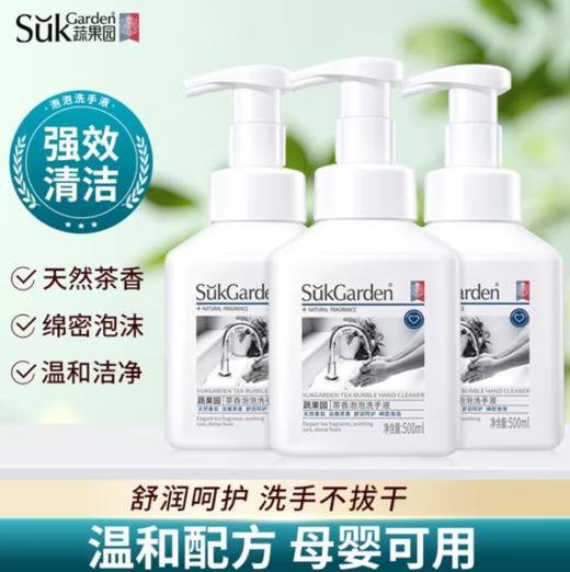 蔬果园茶香泡泡洗手液 清新滋润型500ml-5664 商品图0