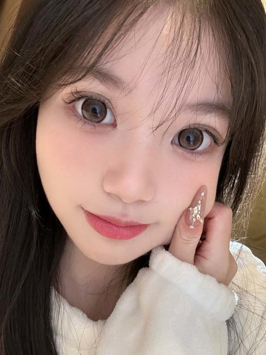 bariecat日抛  榛果小姐 直径14.5mm着色14.1mm 商品图0