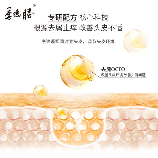 季德胜 | 去屑蓬松洗发水  净油蓬松同时养头皮 400ml 商品图4