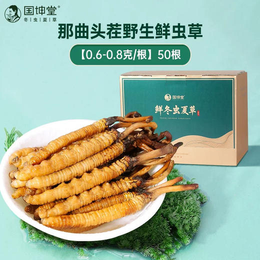【 0.6-0.8中大草50根】国坤堂 那曲鲜虫草 商品图3