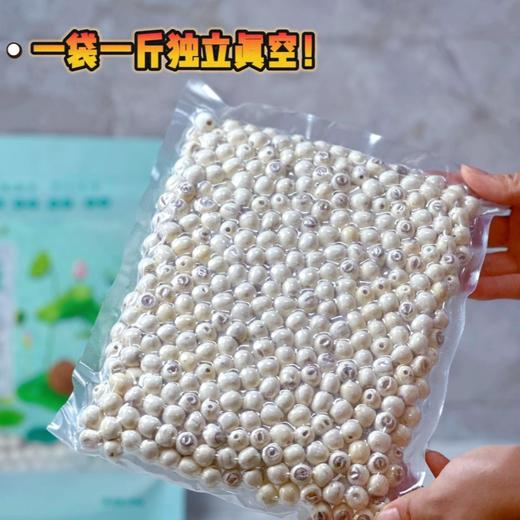洪湖【老莲子（磨皮莲子） 】坚持十成熟采摘，物理开壳去皮去芯，多次日晒而成，无熏硫不漂白，现磨现发，新鲜饱满，粉糯清香，不用泡直接煮，发头超大，自带莲香！ 商品图3