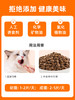 【买1送1 送正装】普安特化毛球片猫草片幼成猫咪专用调理肠胃吐毛球化毛膏猫片 商品缩略图3