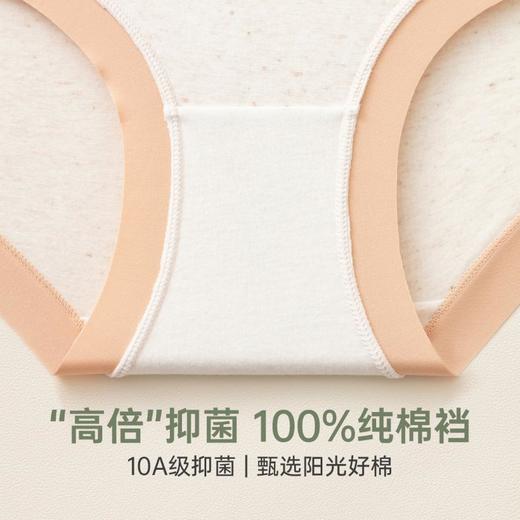 3部顶瓜瓜雪花彩纱女士高腰内裤3条装AR33961-3 商品图4