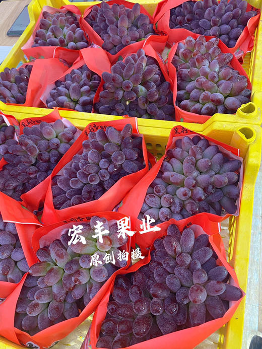 宏丰精选 茉莉香葡萄.，口感香甜，活动价15.8一斤 商品图4