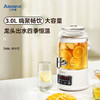 【小家电】艾贝丽分体式花茶壶  ABL-SP31 HF 商品缩略图3