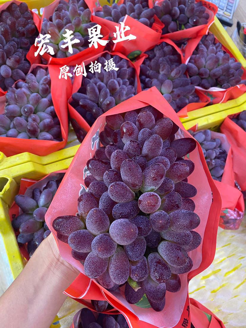 宏丰精选 茉莉香葡萄.，口感香甜，活动价15.8一斤