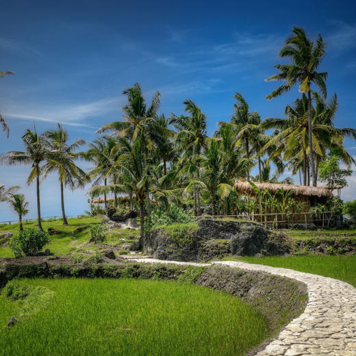 4天3晚【印尼尼希松巴酒店 | Nihi Sumba Island】有效期至2026年1月！深度体验全球最佳&奢野鼻祖酒店！享每日三餐、下午茶、欢乐时光酒水畅饮，更有限时入住福利！ 商品图14