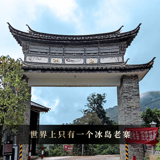 2025年春茶【神兽—白虎】超越纯料冰岛老寨的存在，神兽事业部独立出品高奢品牌，首发结束即封藏，限量100箱 拍5箱发6箱 商品图1