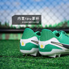 小李子正品NIKE耐克传奇10中端FG长钉训练足球鞋成人男HJ7268-300 商品缩略图4