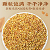 【买二送一❗黄金黄苦荞250g/瓶】甄选品质原料，大自然纯粹本味，低温烘焙制好茶，香醇口感醇齿留香，中老年人养生花茶，男女熬夜疲劳养生茶泡水L 商品缩略图1