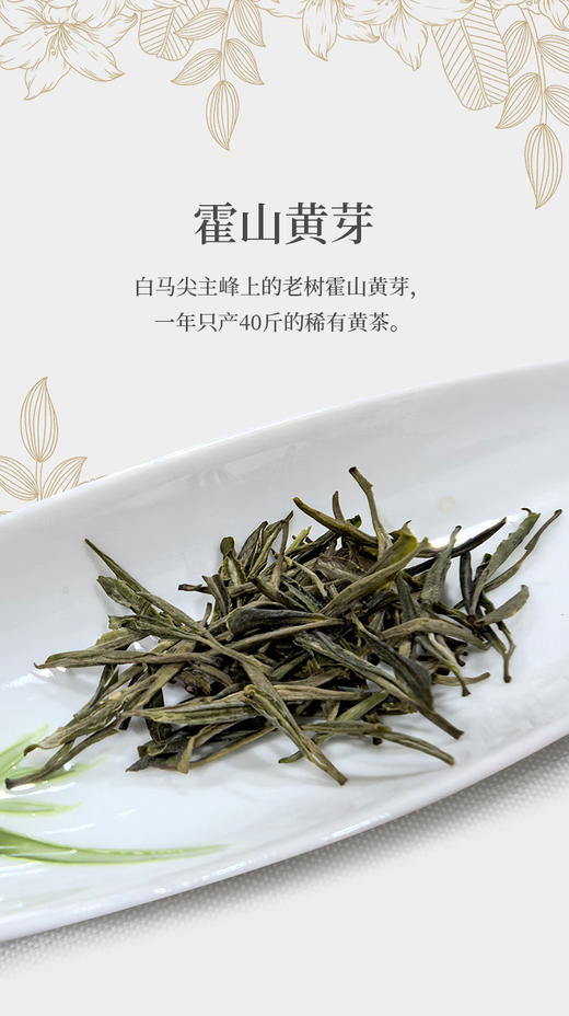 霍山黄芽 25克 大别山主峰白马尖上老树茶 商品图9