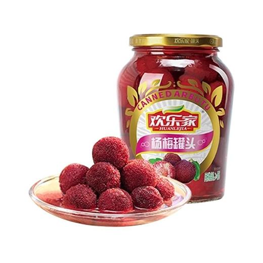 欢乐家 杨梅罐头 900g/罐 商品图0