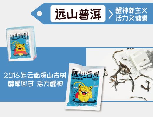 远山普洱袋泡挂耳茶+手冲壶350ml（白） 商品图4