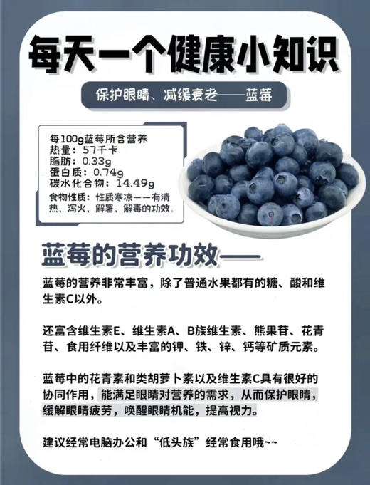 云南普洱一级花香蓝莓18＋12.8元1盒,明日到 商品图2