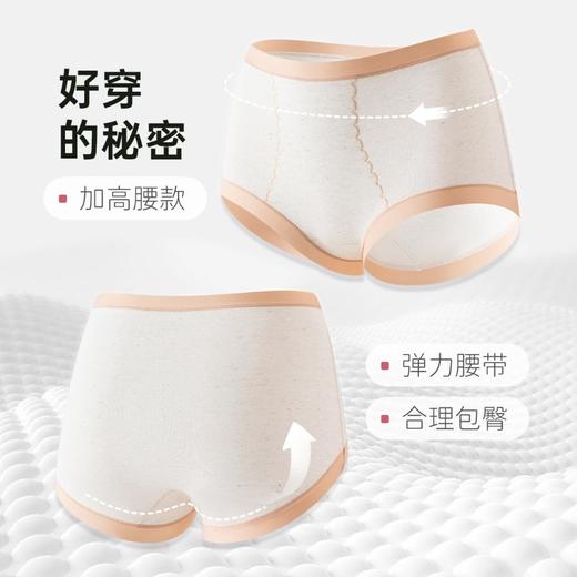 3部顶瓜瓜雪花彩纱女士高腰内裤3条装AR33961-3 商品图1